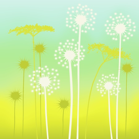 floral background, dandelionのイラスト素材