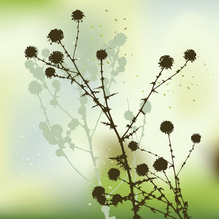 floral background, dandelionのイラスト素材