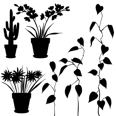 collection, for designers, plant vectorのイラスト素材