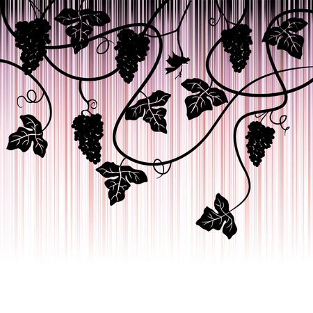 Bunch of grapes, plant background - vector illustrationのイラスト素材