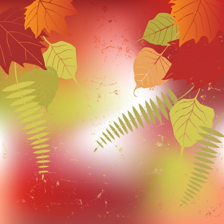 Leaf autumnのイラスト素材