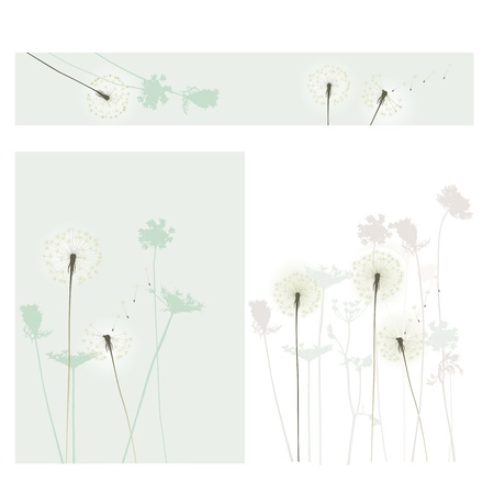 floral background, dandelionのイラスト素材
