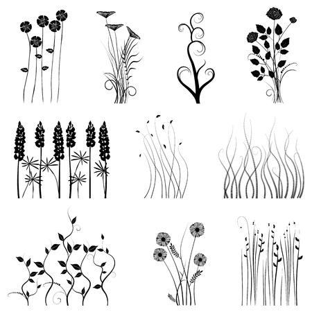 collection for designers, plant vectorのイラスト素材