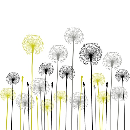 floral background, dandelionのイラスト素材