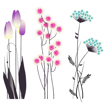 Floral background, blooming flowersのイラスト素材