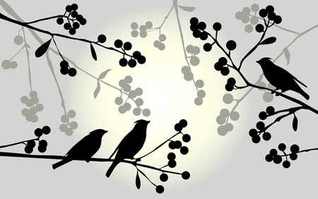 Birds on the branch during summer day - vector illustrationのイラスト素材