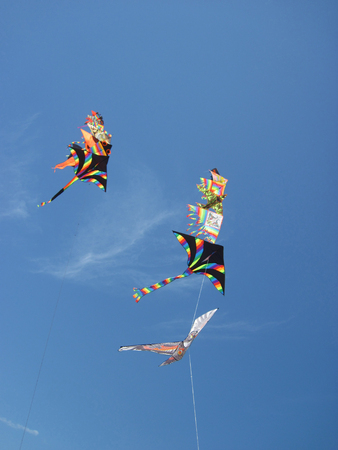 Kites in the sky. On the beach during sunny day.の写真素材