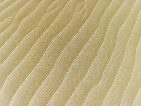 Desert, waves of sand, dunes background