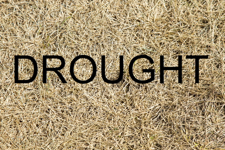 Inscription on dry grass "Drought"の写真素材
