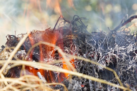 burning hay grass