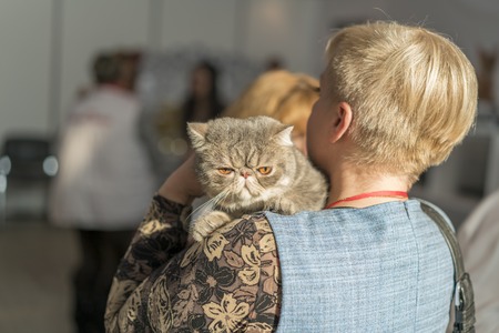 Girl holding a cat on her shoulderの写真素材
