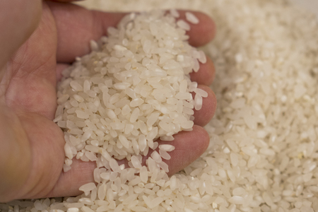 A hand takes a handful of rice. Close-upの写真素材