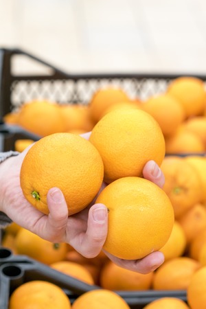 A woman's hand with three orangesの写真素材