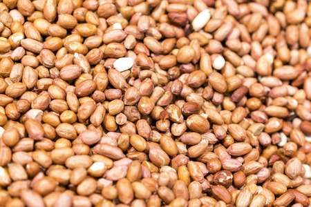 Peanuts as a background and texture. Delicious, nutritious food.の写真素材