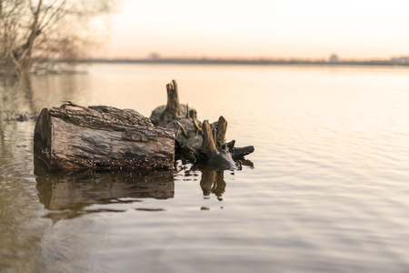 Log, a snag in the river at sunset.の写真素材