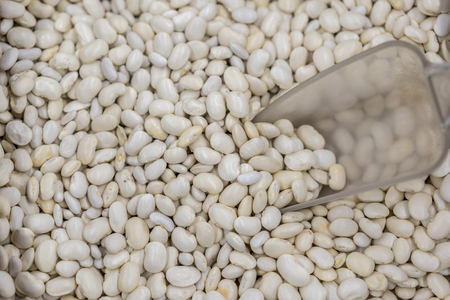 White beans. background. Beans.