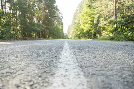 Asphalt road in green forest. Road among the trees. sunny summer day in the forest.の写真素材