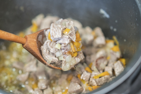 Meat stew with vegetables and herbs. Stew in a wooden spoonの写真素材