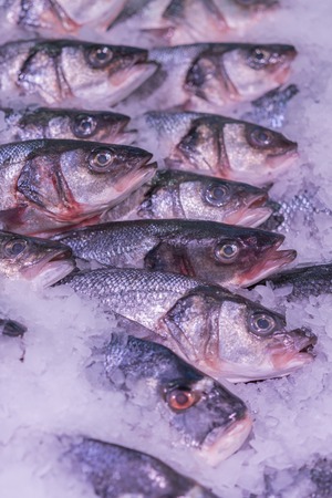 Fresh sea fish in the ice in the store. Clese up of frozen fish. Fresh fishes on ice in open market....