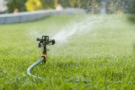 Garden irrigation system watering lawn. watering the lawn in the hot summer. Lawn sprinkler spaying water over green grass. Irrigation system. Automatic watering lawns. Gardening.の写真素材
