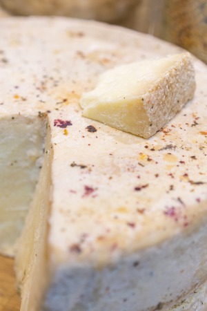 Craft cheese. Cheese head. Artisan cheese. vertical photo.