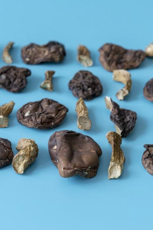 Slices of dry boletus mushrooms isolated on blue background. Dried mushrooms on a blue background....