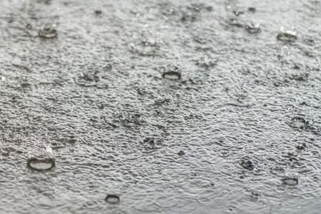 rain gray background. Drops on a puddle.