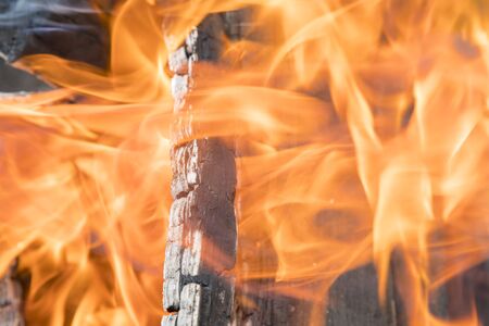 Burning logs in a fire. Orange flame. close-up.
