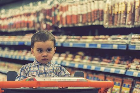 A cute boy dressed in a plaid shirt in a supermarket in a trolley. Against the background of shelves with meat products and sausages. tonedの写真素材