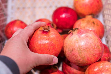 Close up view of fruits shelf in supermarket. hand taking red apples in the store. male hand taking fruit from a shelf. man holds one selected apple in a store or market. Juicy and fresh fruitsの写真素材