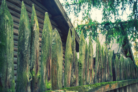 ancient style wooden wall Palisade. High wooden antique palisade. Fence made of sharp wooden stakes on the background of logs. ancient style wooden wall Palisade. tonedの写真素材
