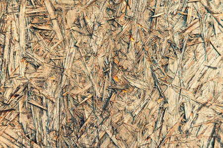 embossed wooden background. Wood plate.の写真素材