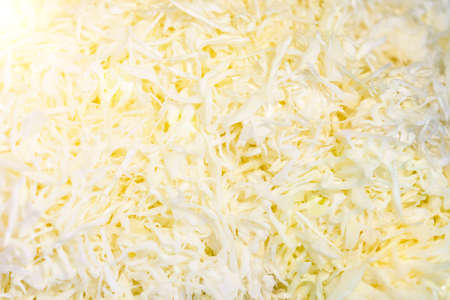 Sliced cabbage background. Sliced cabbage as a background. toned.の写真素材