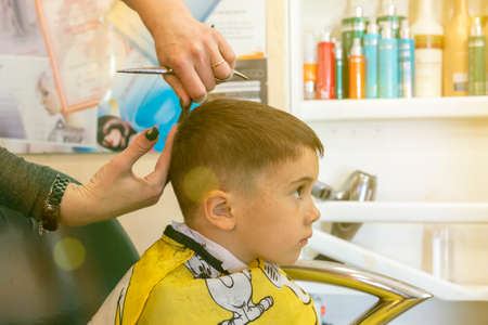 little boy having a haircut at hair salon..Children hairdresser with scissors and comb is cutting little boy. Contented cute preschooler boy getting the haircut. tonedの写真素材