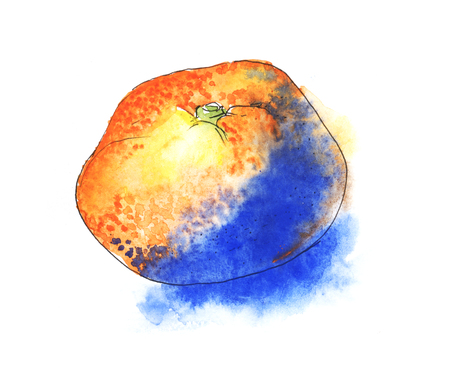 Orange mandarin with bright blue shadow. Contrast watercolor sketch. Hand drawn illustration.の写真素材