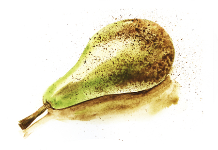 Yellow-green pear conference. Hand-drawn watercolor illustrationの写真素材