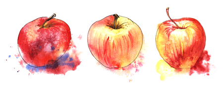 Red-yellow ripe apple. Set of three elements. Hand drawn watercolor illustration. Isolated on a white Backgroundの写真素材