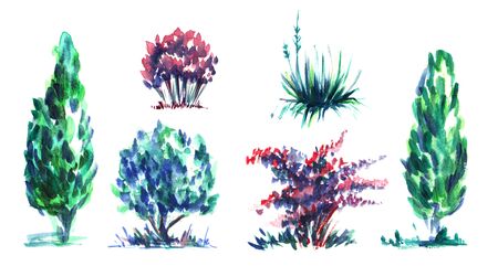 Set of decorative elements. Garden thermophilic flowering plants, flowers and shrubs. Multi-colored crowns Green, purple, red. Hand-drawn watercolor illustration. Isolated on white background.の写真素材