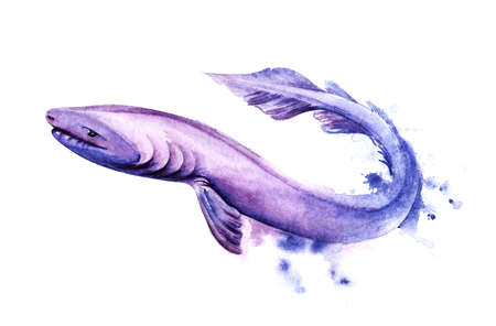 Watercolor image of cartoon frilled shark of purple color on white background. Hand drawn illustration of relict cartilaginous fish with long snake alike body with fin tailの写真素材