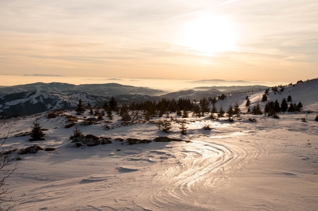 Sunrise In Winter Forestの写真素材