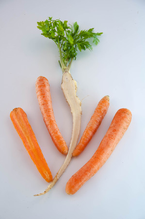Root vegetables. Carrots and parsleyの写真素材