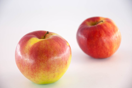 Red Appleの写真素材