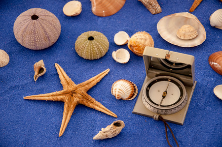 Shells
