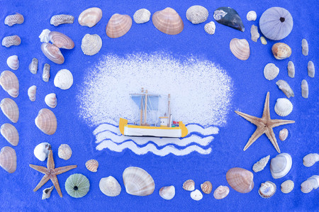 Sea shells and starfishの写真素材