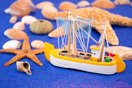 Sea shells and starfishの写真素材