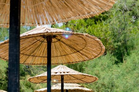 The sea and parasols at the Beachの写真素材
