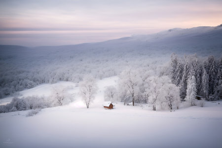 Beautiful winter landscape in the Carpathian Mountains, Ukraine.の写真素材