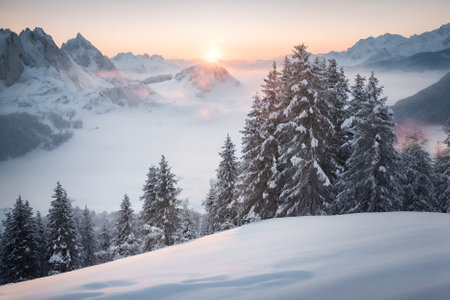 Beautiful winter landscape with snow covered trees in Dolomites mountainsの写真素材