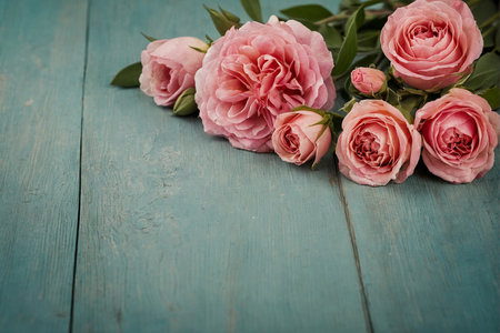 Bouquet of pink roses on turquoise wooden planks.の素材