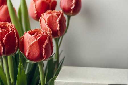 Bouquet of red tulips on a gray background with space for textの写真素材